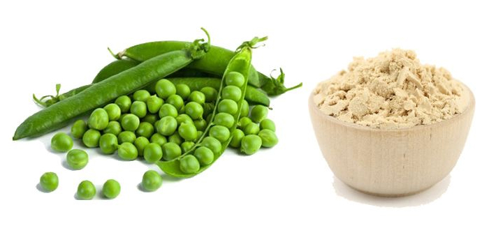 Pea Protein